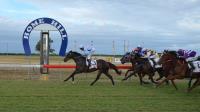QLD Country Racing image 3